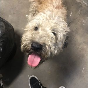 Meet your Posher, Jorge